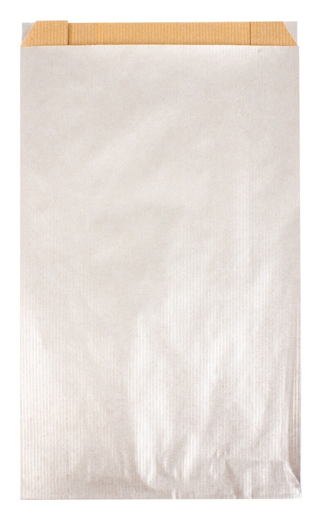 ZAKJES/ZIJV. 250 STUKS (12X4X21CM, ZILVER)