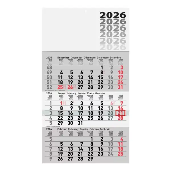 Driemaandkalender grijs 30x41 2026