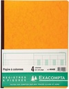 Register 32/25 Vertikaal (4 Kolom (2))