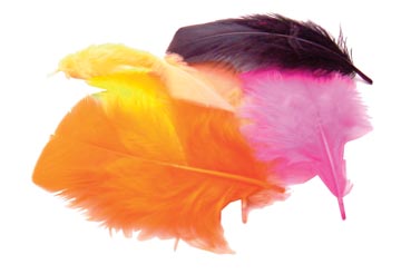 120 PLUIMEN 4CM ASSORTI