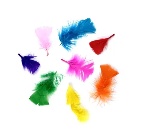 Pluimen Klein Multicolor Create-It (14Gr)