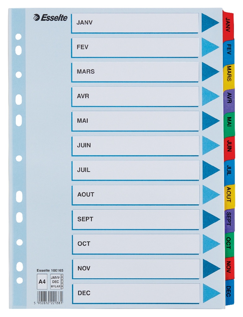 Luxe Mylar Index Kart.A4 Jan-Dec Kleur