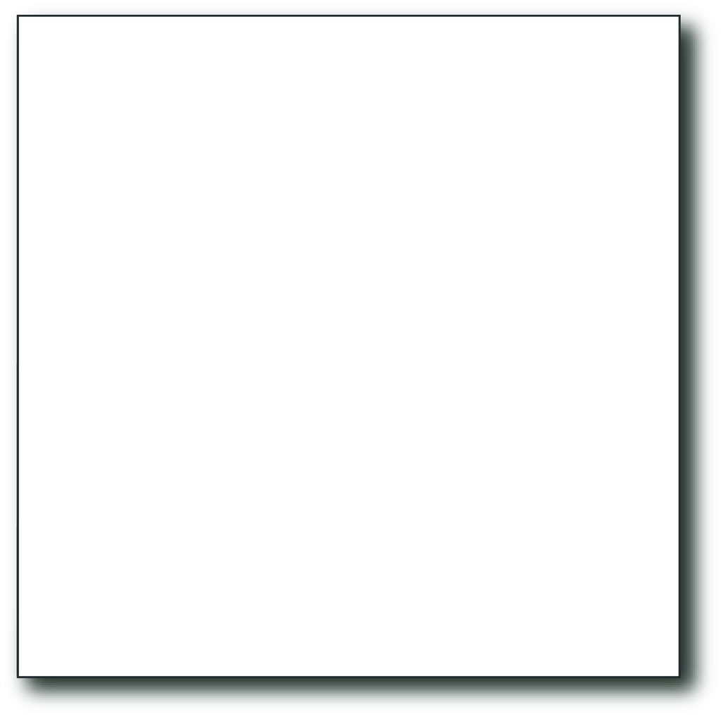 250 servetten 25x25 wit 1-laags