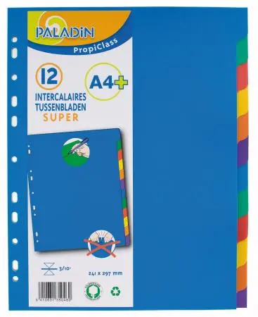 Paladin - Index Super A4+ 12Tabbladen