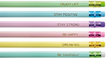 pastel potloden met gum 6st