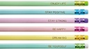 pastel potloden met gum 6st