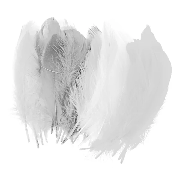 Zakje met 50 veren 15 cm wit