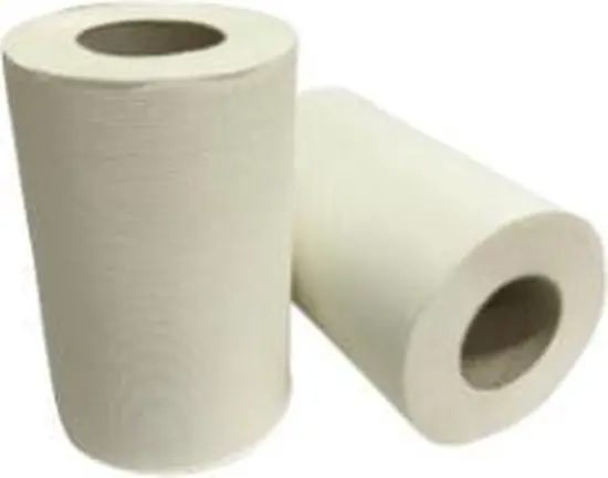 Poetsrol mini 12x 1lgs 120mx20cm cellulose