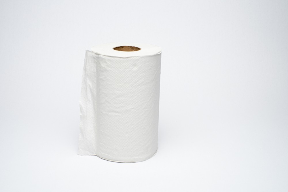 poetsrol mini 12x 1lgs 120mx20cm gerecycleerd