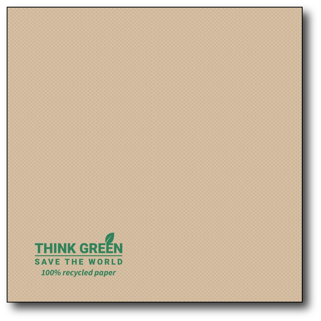 Point 2 Point Servetten, 25X25 Cm, 1/4, 125St, 100% Recycle