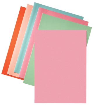 Inlegmap (80Gr, A4, Roos, 250 Stuks)