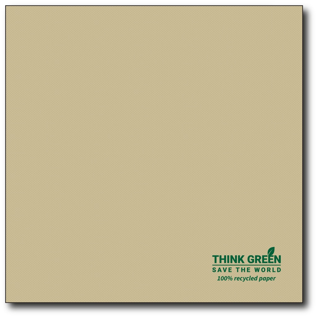 50 p2p serv.1/4 33cm 100% recycling