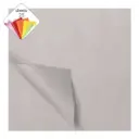 Zijdevloei Papier Zilver (50X70Cm,25 Vel)