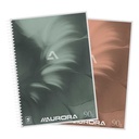 Spiraalschrift (A4, 100Blz, Gelijnd + Kantlijn)