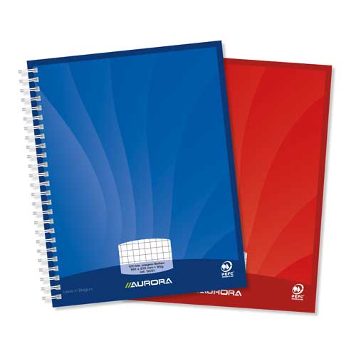 Spiraalschrift Karton (A5, 100Blz, Geruit)