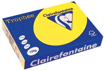 A4 Trophee (120Gr, Zonnegeel, 250)