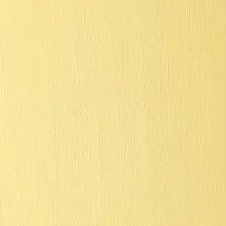 w&n winton oil colour  37ml chrome yel hue