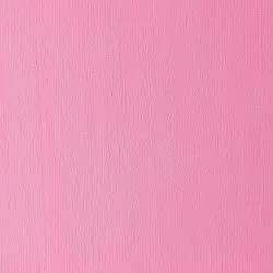 w&n winton oil colour  200ml permanent ros