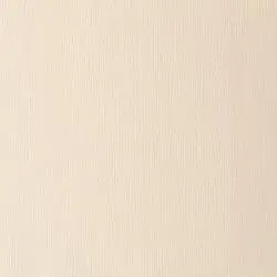 w&n winton oil colour  200ml raw sienna