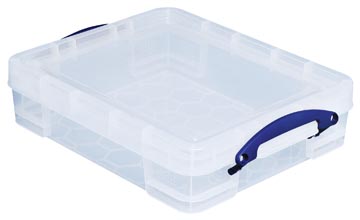 Opbergdoos Transparant Useful (11L)
