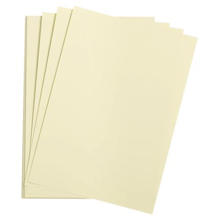 Etival Color 160 Gram A4 Pale Green