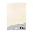 Pollen, 25 Bladen, 210G, 210X297Mm - Parelmoerivoor*