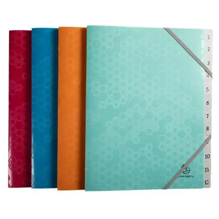 Sorteermap in gerecycleerde polypropyleen 12 vakken Maïa - Geassorteerde kleuren