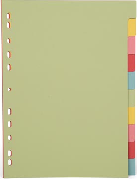 Pergamy Tabblad A4 Pastel 10T