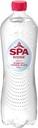 Spa Intense Fles 1L Pk6