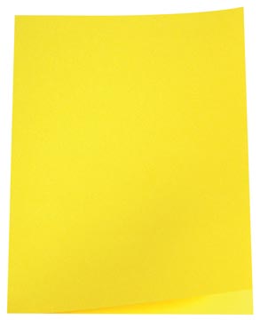 Perg Inlegmap 180G Geel 100X