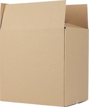 verzenddoos br 305x220x300mm