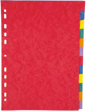 pergamy tabblad a4 karton 12t