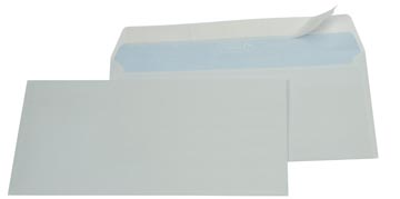 env wit 114x229 str zv 80 500x