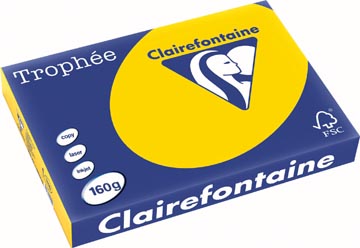 Trophee A3 (160Gr, Goudgeel, 250)