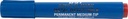 bst detect perm marker ds10 rd