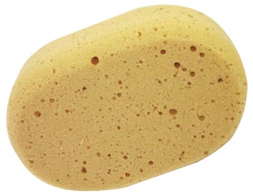 aqualine spons ovaal