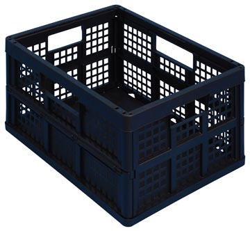 rub plooibox 45l zwart