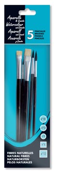 penseel waterverf set 5