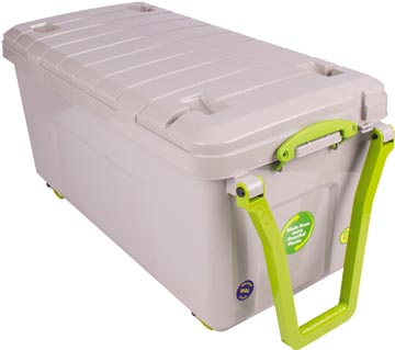 rub koffer met wielen 160l grs