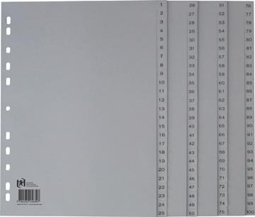 tabblad a4 pp 11g 100t grs