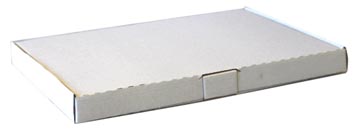 verzenddoos wit 310x220x25mm