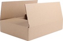 VERZENDDOOS BR 305X220X60MM