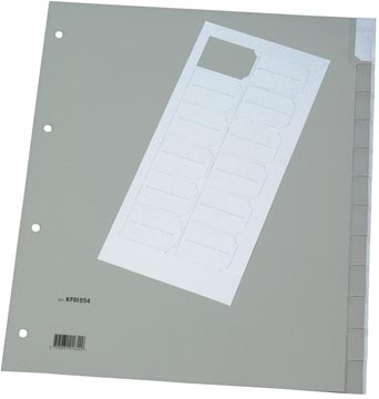 q-connect tabblad a4 pp 12tabs
