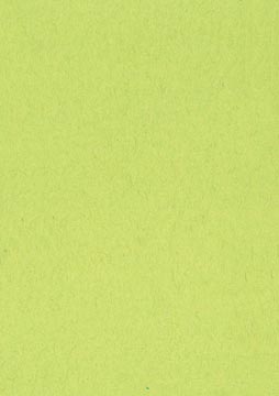 p.500 lichtgroen tekenpapier