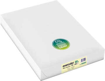evercolor 80gr 500v a3 geel