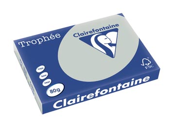 Trophee A3 (80Gr, Lichtgrijs, 250)