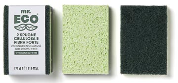 mr eco schuurspons sterk pk2