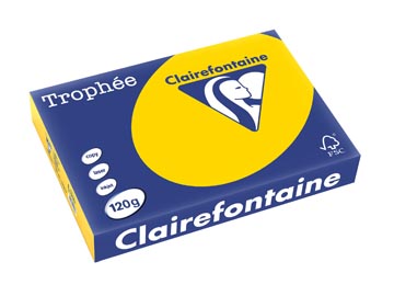 A4 Trophee (120G, Goudgeel, 250)