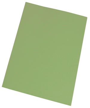 perg inlegmap 60g groen 250x
