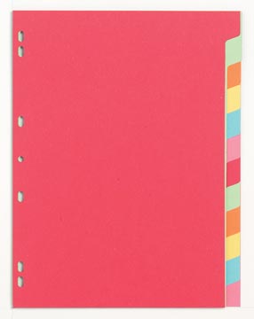 pergamy tabblad a4 manilla 12t